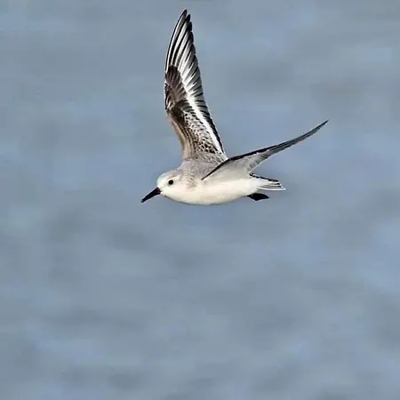 Bed and breakfast Cathy D Hotes