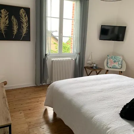 Cathy D Hotes דיבה-סור-מר