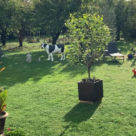 Cathy D Hotes דיבה-סור-מר